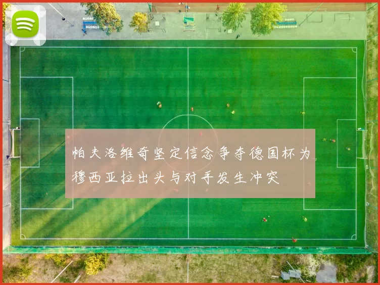 帕夫洛维奇坚定信念争夺德国杯为穆西亚拉出头与对手发生冲突
