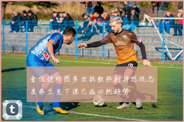 舍伍德对图多尔执教热刺持悲观态度弗兰克下课已成必然趋势